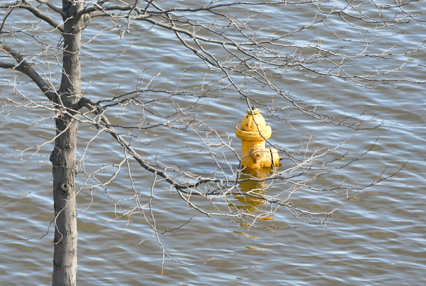 041619-qct-qca-flood-013a.JPG